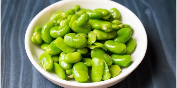 Fawa beans rich in nutrients, can provide all -round benefits