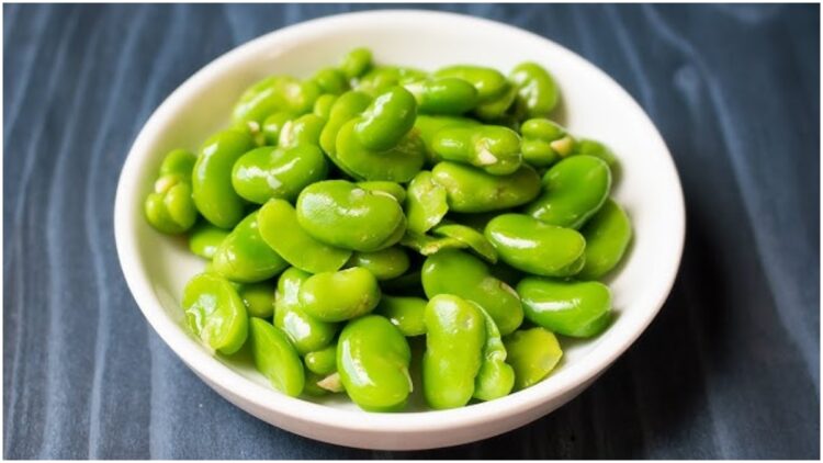 Fawa beans rich in nutrients, can provide all -round benefits