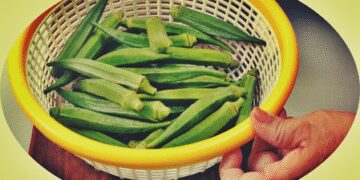 Filter -rich lady finger, is the best for summer