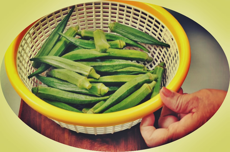 Filter -rich lady finger, is the best for summer
