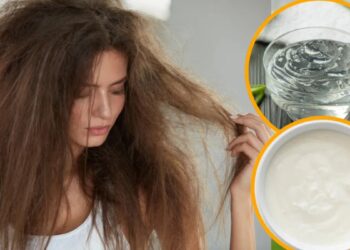 For shiny hair, apply it mixed with curd, this one thing will change, dry hair condition, growth will also be faster
