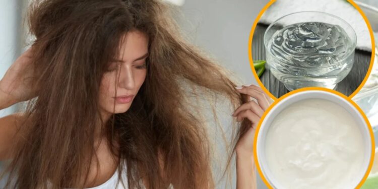 For shiny hair, apply it mixed with curd, this one thing will change, dry hair condition, growth will also be faster