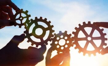 Government and Hafel India sign memorandum to promote local startups and MSMEs