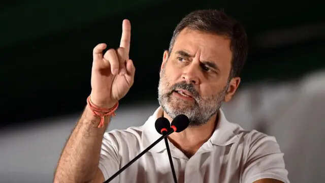 Government could not present report on Rahul's citizenship, know the case in the video due to lack of report
