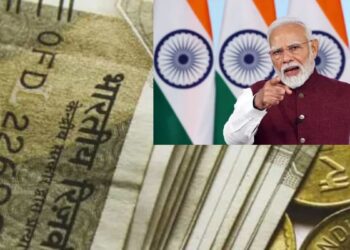 Has any new government scheme earned up to Rs 10,000 per day? Government itself gave answers