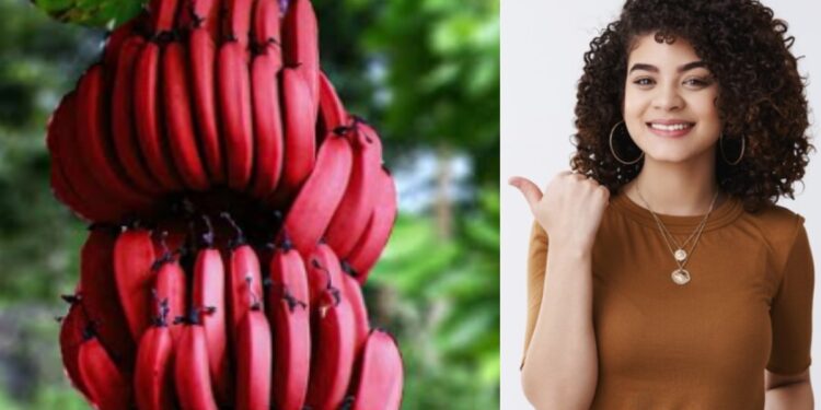 Have you ever eaten red bananas? Know what affects the body?