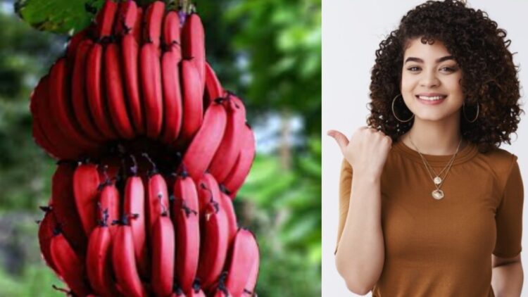 Have you ever eaten red bananas? Know what affects the body?