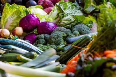 Healthy diet taken in childhood, premature menstruation does not allow: Study