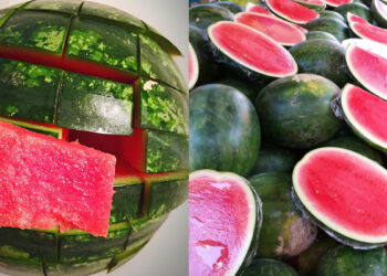 How to find out whether the watermelon is sweet while purchasing, follow these tips