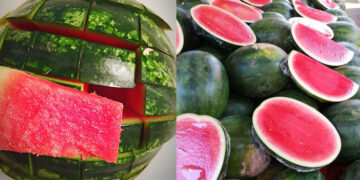 How to find out whether the watermelon is sweet while purchasing, follow these tips