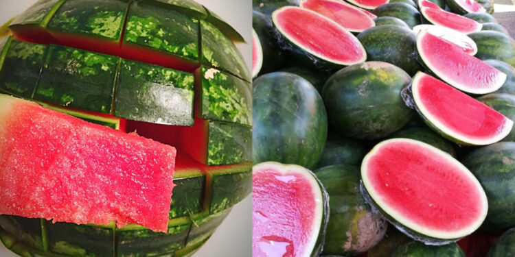How to find out whether the watermelon is sweet while purchasing, follow these tips