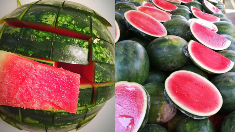 How to find out whether the watermelon is sweet while purchasing, follow these tips