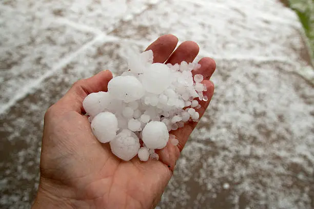 IMD released Hailstorm warning. In these states, change the plan immediately in these states.