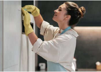 If you have to clean the fridge, then the use of these things will shine your refrigerator