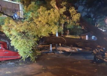 In Delhi, trees were uprooted amidst thunderstorms, where did the lights go? BSES statement
