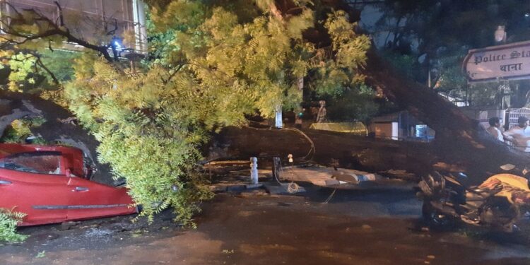 In Delhi, trees were uprooted amidst thunderstorms, where did the lights go? BSES statement