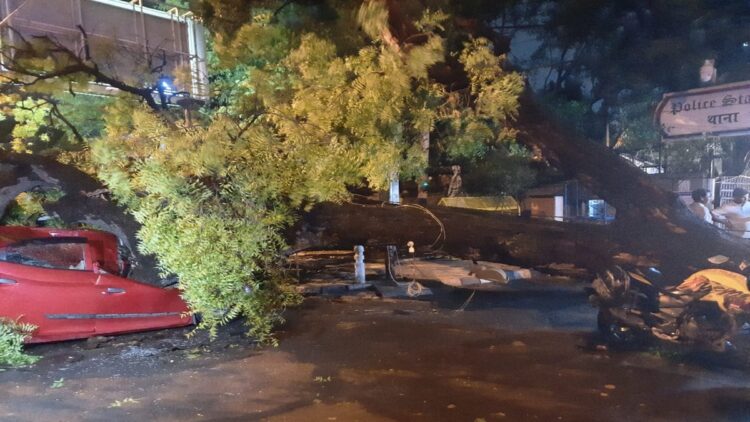 In Delhi, trees were uprooted amidst thunderstorms, where did the lights go? BSES statement