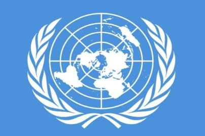 In the United Nations, India described the anti -terrorism strategy for national security as important