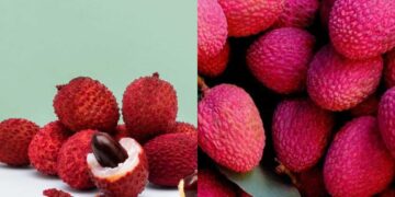 In the fierce summer, definitely eat litchi, body will be hydrated and health will get health.