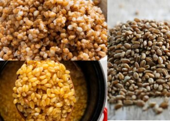 In this way, we will use wheat, the bad cholesterol stored in the body will be controlled