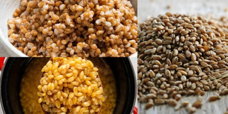In this way, we will use wheat, the bad cholesterol stored in the body will be controlled