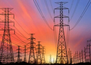 India will show the achievements of its power sector in the meeting of BRICS Energy Ministers