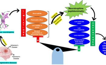 Indian scientists discovered potential medicines to treat neurodygenetic disorders