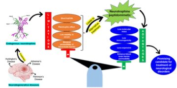 Indian scientists discovered potential medicines to treat neurodygenetic disorders