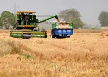 India's food production increased by 6.8 percent to more than 1,663.9 lakh tonnes in FY 2025