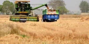 India's food production increased by 6.8 percent to more than 1,663.9 lakh tonnes in FY 2025