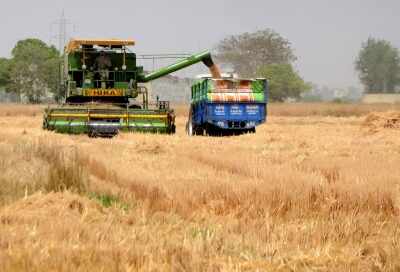 India's food production increased by 6.8 percent to more than 1,663.9 lakh tonnes in FY 2025