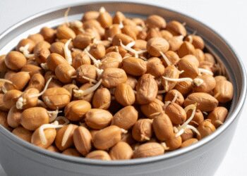 Just a handful of peanuts keeps a full care of the heart and bones