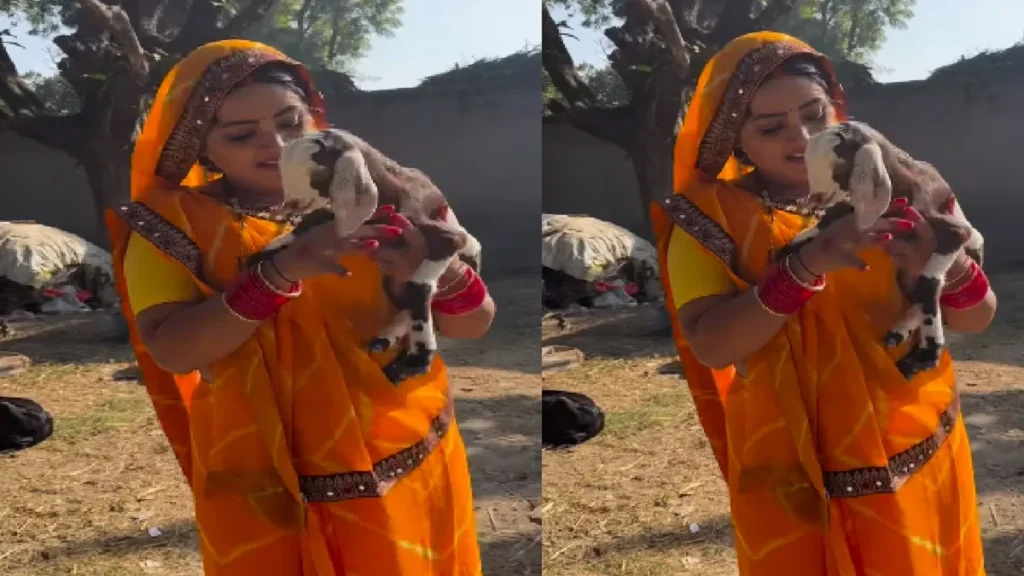 Kajal Raghavani looted innocent goat child, caressed in lap