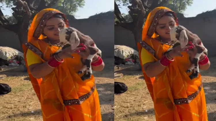 Kajal Raghavani looted innocent goat child, caressed in lap
