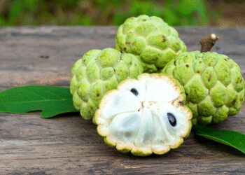 Lack of blood should be removed, make bones strong, know the benefits of Sitaphal and its leaves
