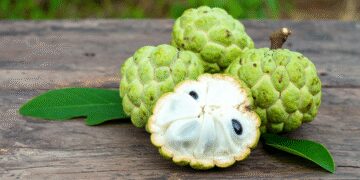Lack of blood should be removed, make bones strong, know the benefits of Sitaphal and its leaves