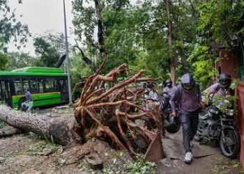 Large accident in Najafgarh, Delhi, trees fell at home due to rain, four including three children killed