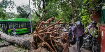 Large accident in Najafgarh, Delhi, trees fell at home due to rain, four including three children killed