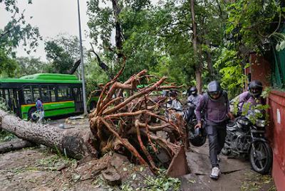 Large accident in Najafgarh, Delhi, trees fell at home due to rain, four including three children killed
