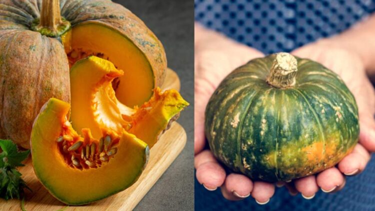 Learn which people should not eat pumpkin, serious harm can be done