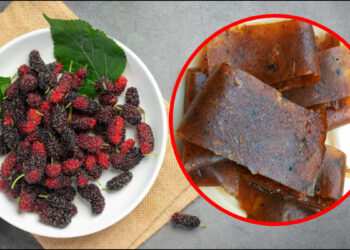 Mulberry papad must make and eat, after eating, the sour sweet memories of childhood will be fresh
