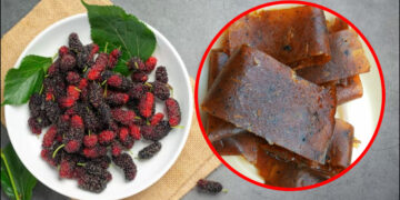 Mulberry papad must make and eat, after eating, the sour sweet memories of childhood will be fresh
