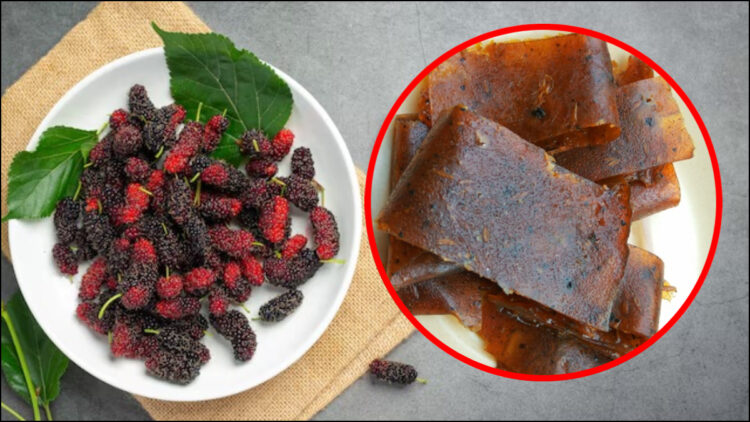 Mulberry papad must make and eat, after eating, the sour sweet memories of childhood will be fresh