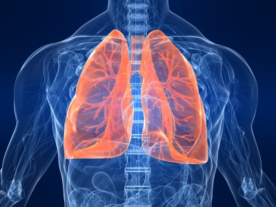 New gene therapy targeting lungs and windpipe through nose spray