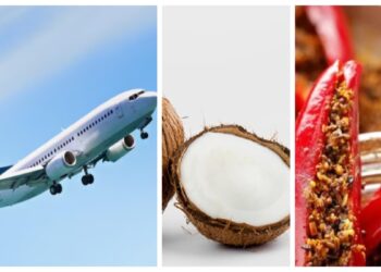 Note to go with flights: Chili pickle, coconut cannot be taken, new guidelines