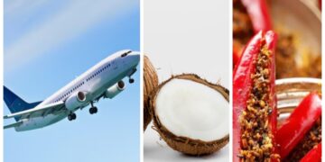 Note to go with flights: Chili pickle, coconut cannot be taken, new guidelines