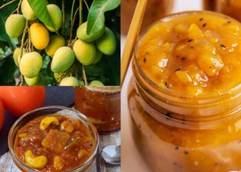 Once you taste roasted mango and tomato sauce, you will forget the taste of cheese, it will be in minutes