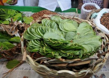 Paan is beneficial for health, but why not eat stale?