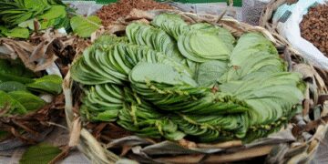 Paan is beneficial for health, but why not eat stale?