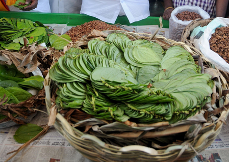 Paan is beneficial for health, but why not eat stale?
